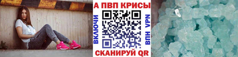 Альфа ПВП СК КРИС  KRAKEN как зайти  Гулькевичи 