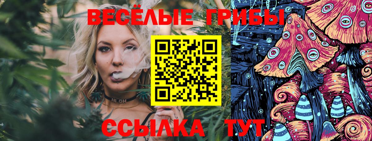 Гулькевичи  Псилоцибиновые грибы Psilocybine cubensis  Вход с VPN 