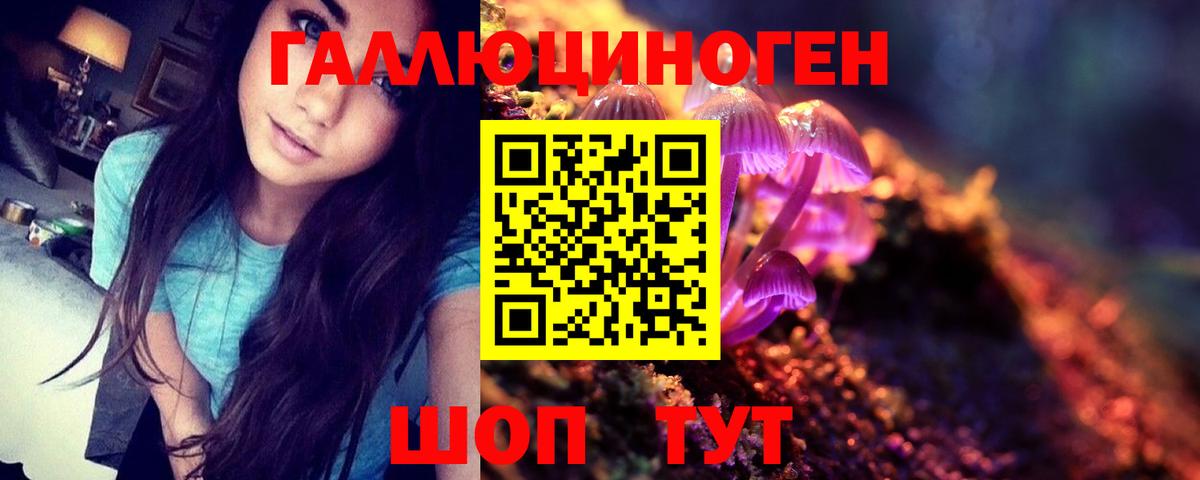 Гулькевичи  Гашиш  Вход с VPN  Конопля  Кокаин  Ляпка  Мяу-Мяу 