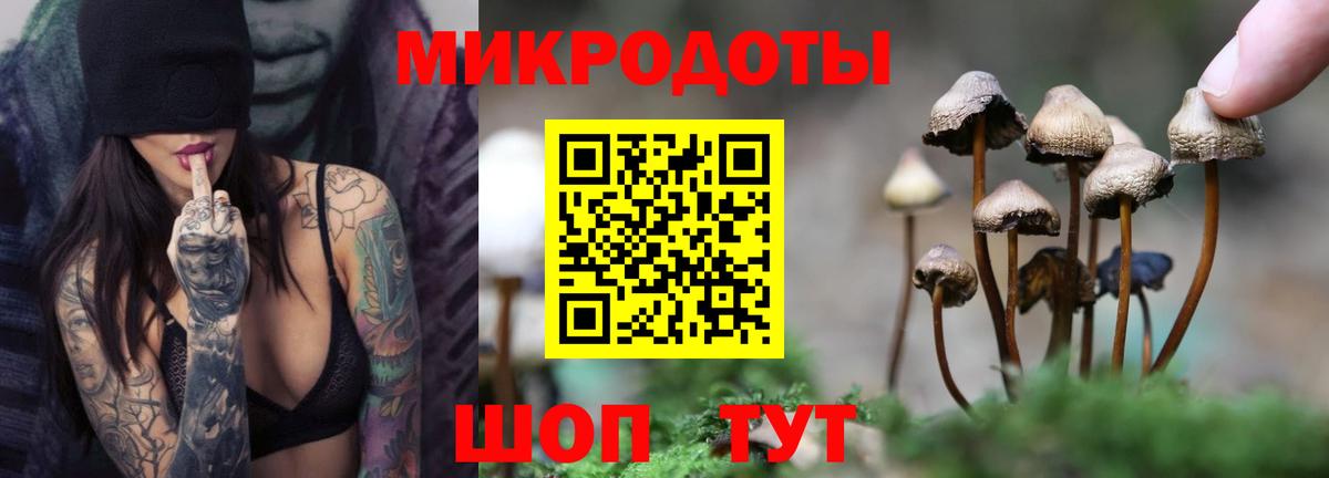 Псилоцибиновые грибы прущие грибы  Гулькевичи  продажа наркотиков  Галлюциногенные грибы прущие грибы 